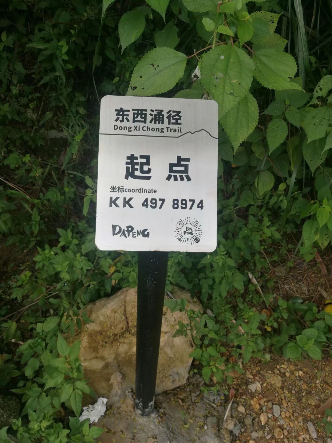 1594261773211265.jpg